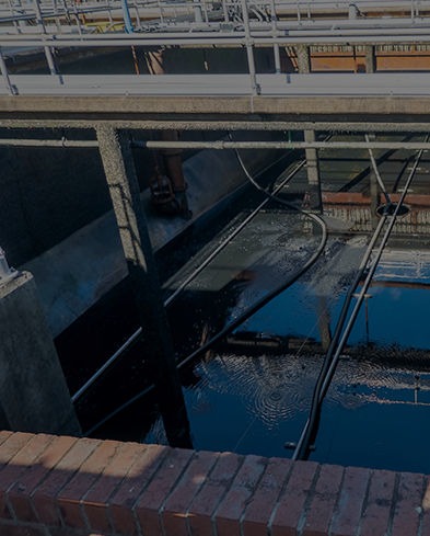 공공하수도 기술진단(처리시설)